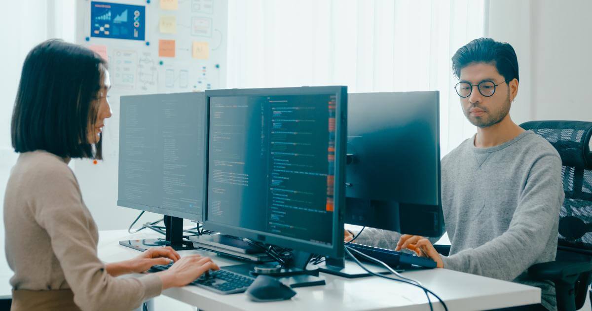 ERP Implementation Challenges main two tech experts working on ERP implementation